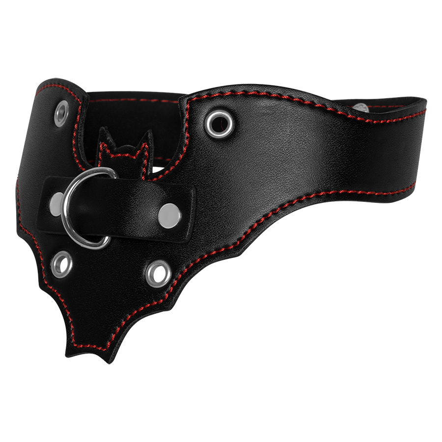 Collar With Leash