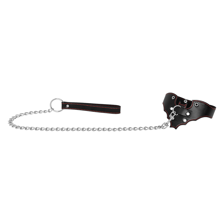 Collar With Leash