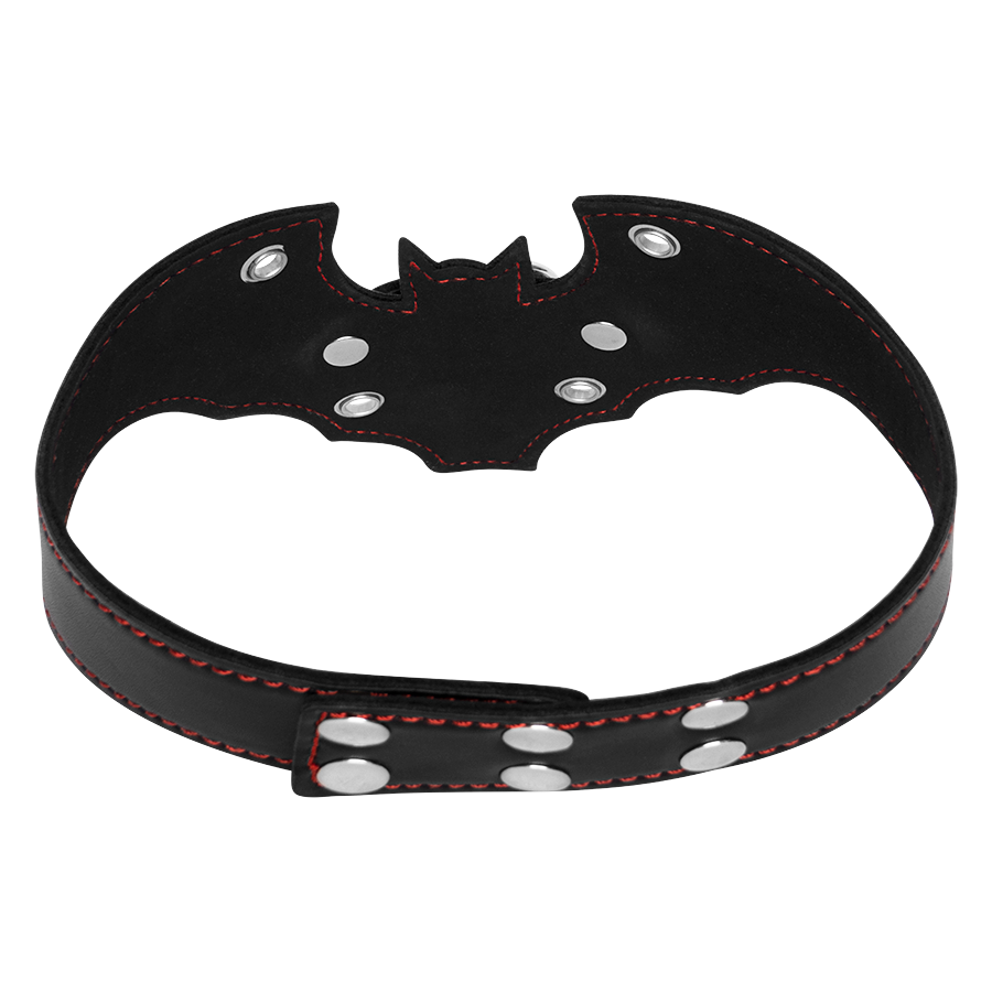 Collar With Leash