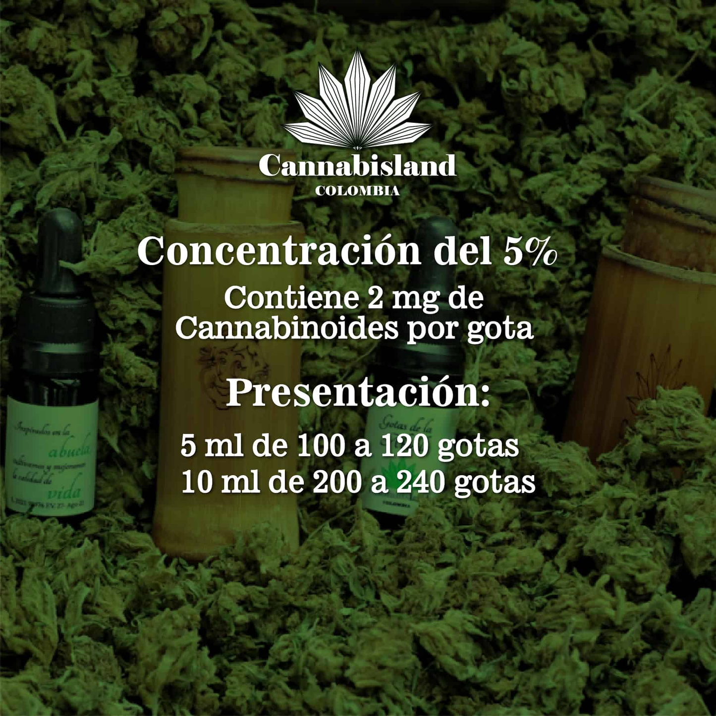 CBD al 5%