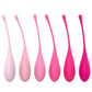 Kegel Balls Eggs