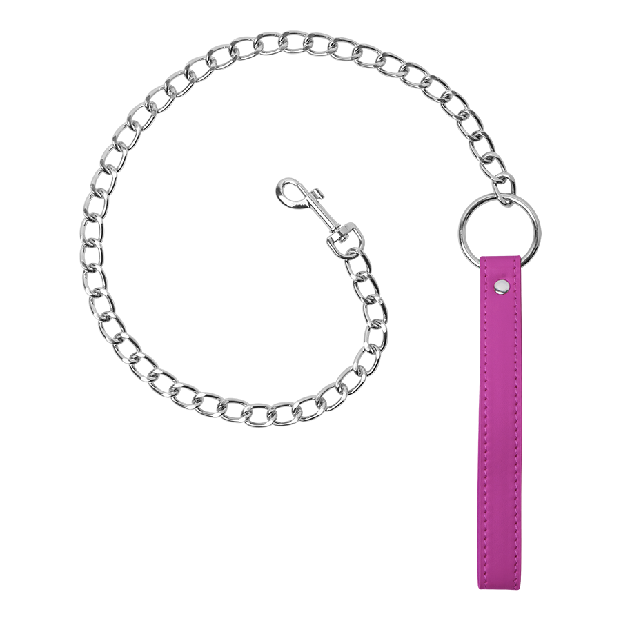 Collar With Chain Leash Rose