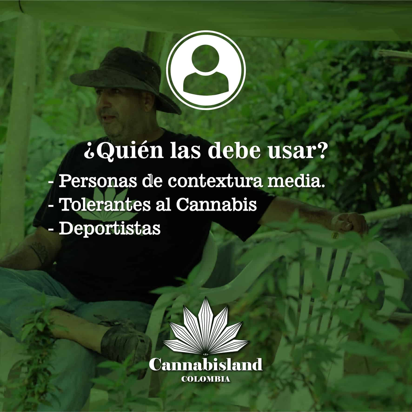 CBD al 10%
