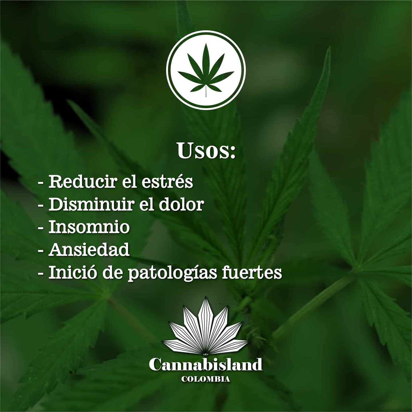 CBD al 10%